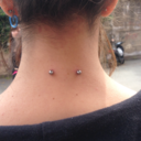 ecadonolefoglie avatar