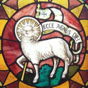 ecceagnesdarling avatar