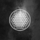 eccentricantivist avatar