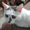 eccentricdreamer45 avatar