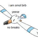 eccentricexception avatar