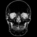 eccentrichermit06 avatar