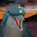 eccothedolphindotf avatar