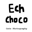 echandchoco avatar