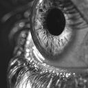 echoedsol-blog avatar