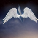 echoes-of-divinity avatar