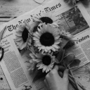 echoes-of-love avatar