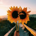 echoesofwonder avatar