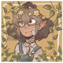 echoing-chirps avatar