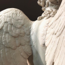 eclectic-misfit avatar