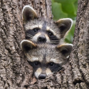 eclecticbutterfly44 avatar