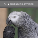 eclecticcreationdaze avatar