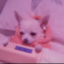 eclecticguitar avatar