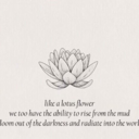 eclipse-ofthe-heart avatar