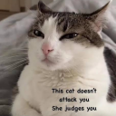 eclipsedsstuff avatar