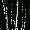 ecogothic-blog avatar