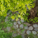 ecoinnovation avatar