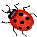 ecosocialization avatar