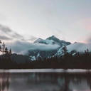 ectobirbpengu-blog avatar