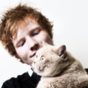 ed-lego-house avatar