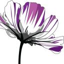 ed-writes-fanfiction avatar