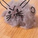 eddie-forgetti-spaghetti avatar