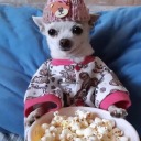 eddieallanhoe avatar