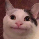 eddiemunsonshitposting avatar