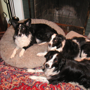 eddingtonpack avatar