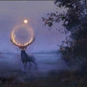 eddyshroomelf avatar