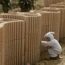 edebipsikopat avatar