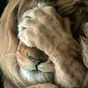 edecticdefendorfart-blog avatar