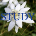 edelweiss-study avatar