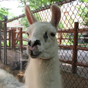 edfromjersey-blog avatar