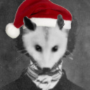 edgar-allan-possum avatar