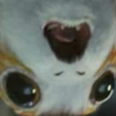 edgarallenhoehoehoe avatar