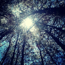 edgarbistren20 avatar