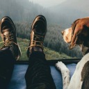 edgardotovarsanchezblog avatar