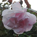 edgesofemmerdale avatar