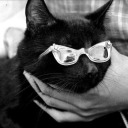 edgyonyx avatar