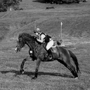 edh-photography avatar