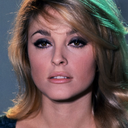 ediesedgwick-sharontate avatar