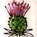 edinburgh-by-the-sea avatar