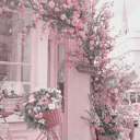 editor-flower-shop avatar