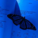 edrecovery-space avatar