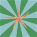 edrecoverystarfish avatar