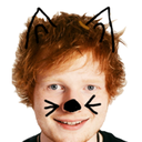 eds-kitty-blog avatar