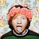 edsheeranawaywithme-blog avatar