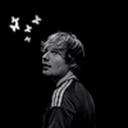 edsheeransdaily avatar