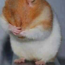 eduardandaferconfi avatar